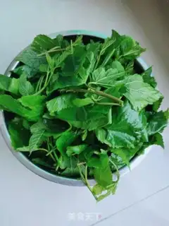Make Clear the san leaves step 0