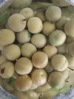 Make Seasonal flooding of acid plums step 3