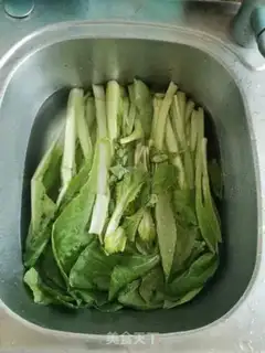Make Clear the cabbage step 0