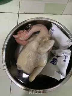 Make White pheasant step 4