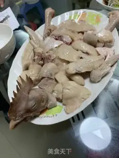 Make White pheasant step 6