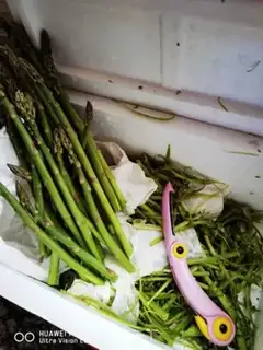 Make Shrimp step 1