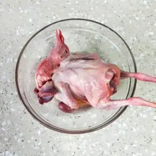 Make Salt pigeon step 0