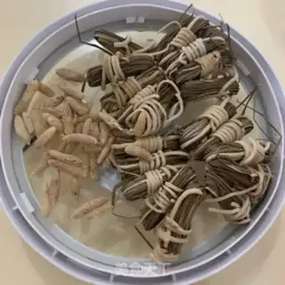 Make Light gravy step 0