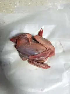 Make Salt pigeon step 3