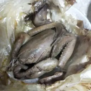 Make Salt pigeon step 11