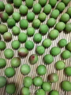Make Blue plum wine step 2