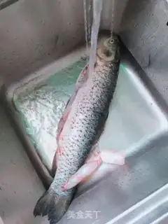 Make Weedfish step 0