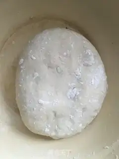 Make Shrimp larvae pizza step 1