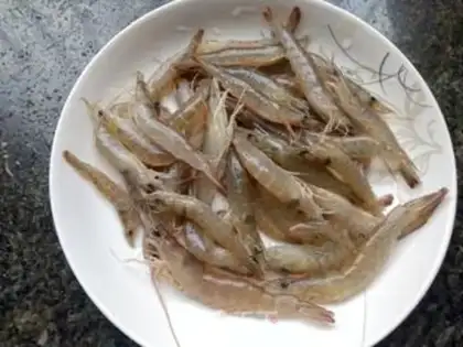 Make Shrimp step 0