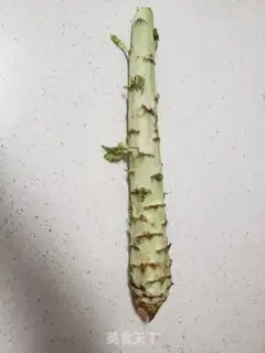 Make Garlic step 0
