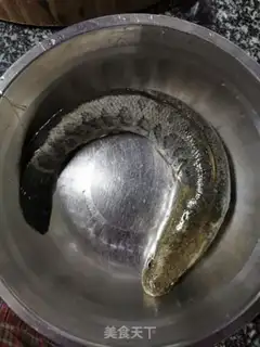Make Sourfish rice line step 1