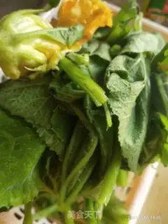 Make Clear the pumpkin seedlings step 0
