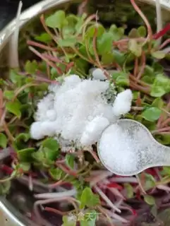 Make A radish step 6