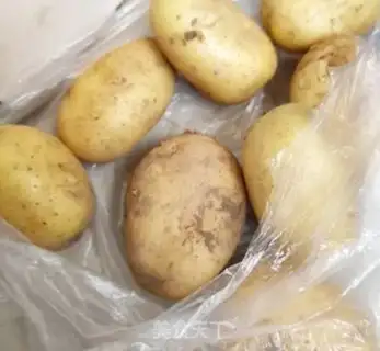 Make Plum stew potatoes step 0