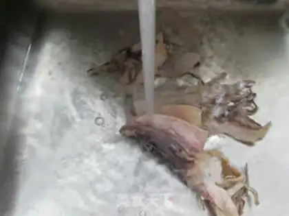 Make The squid