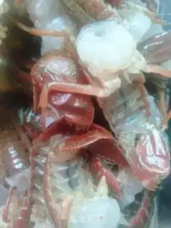 Make Garlic turkey noodles, lobster step 1