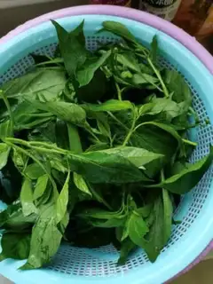 Make Paprika step 1
