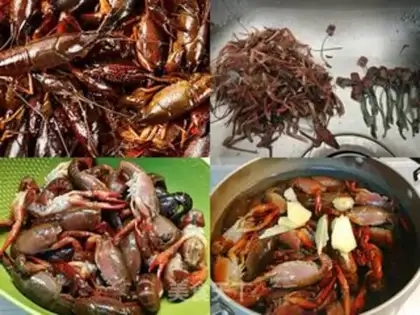 Make Thirteen crawfish step 1