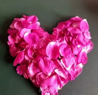 Make Roses step 6