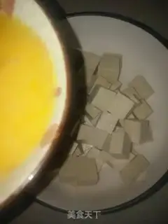 Make Tofu and wood step 2