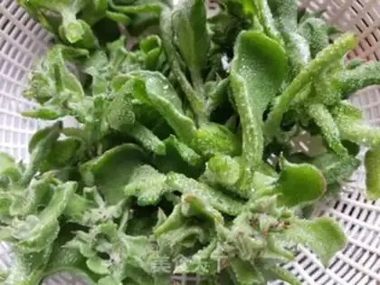 Make Vegetable salad step 1