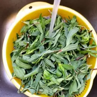 Make A cashew grass step 0