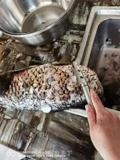 Make Fry fish step 1