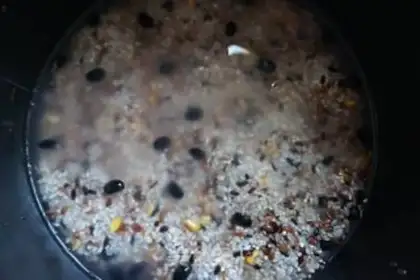 Make Fungus and food step 1