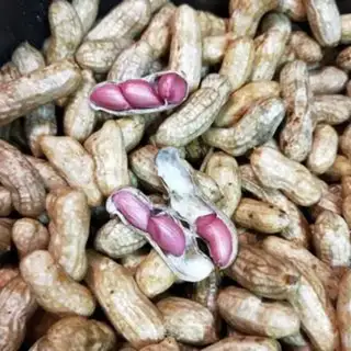 Make Salt-water peanuts step 1