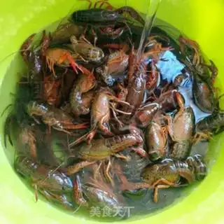 Make Spicy lobster step 0