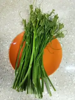 Make Saplings and tofu step 0