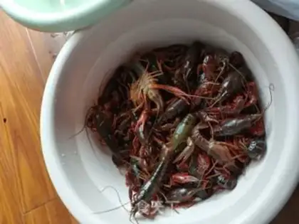 Make Spicy lobster step 0