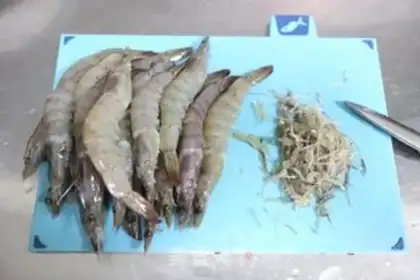 Make Shrimp from the pond step 1
