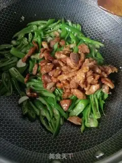 Make Chili fried meat step 6