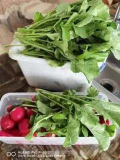 Make The radish cuisine step 1