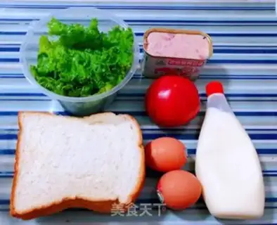 Make Lunch tomato fried egg toast step 0