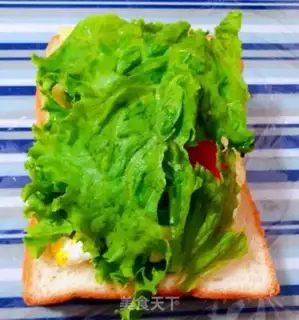Make Lunch tomato fried egg toast step 7