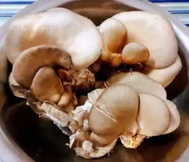 Make cucumber carrots for mushrooms step 0