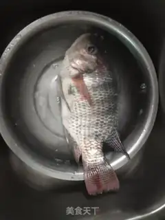 Make Fish step 0