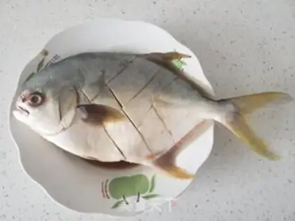 Make Vacuated goldfish step 1