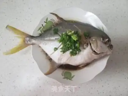 Make Vacuated goldfish step 5