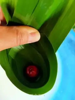 Make Red dates step 4