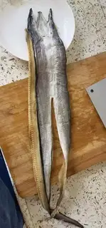 Make Burn fish dry step 1