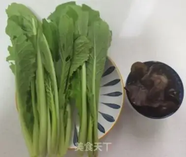 Make The cabbage step 0