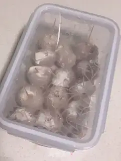 Make Frozen step 5