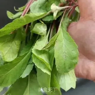 Make Roasted radish step 0