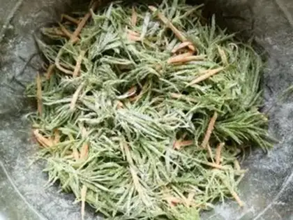 Make Carrot steamed broom seed step 5