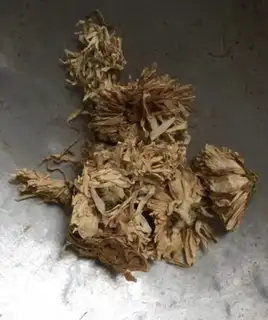 Make Pyrothetic detoxification tea step 2