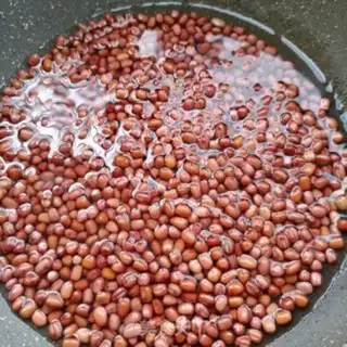 Make Honey Bean step 3